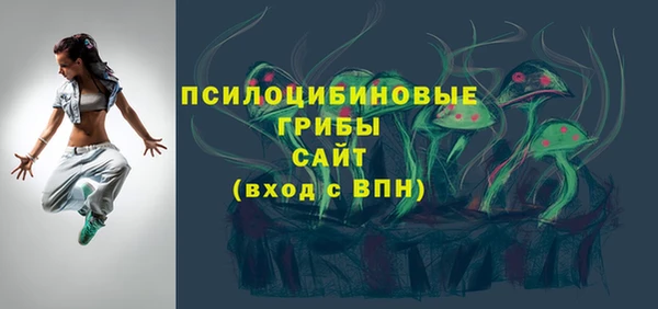 PSILOCYBIN Покачи
