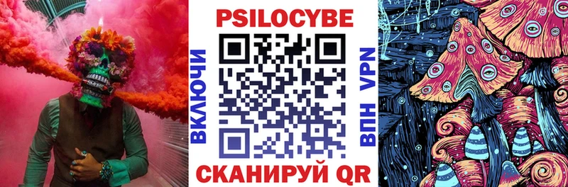 где купить наркоту  Вышний Волочёк  blacksprut ССЫЛКА  Псилоцибиновые грибы GOLDEN TEACHER 